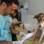 pexels-ahmedhamed20-7008099