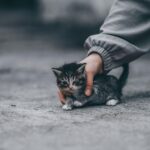 pexels-kemran-kurbanov-75708344-8576736